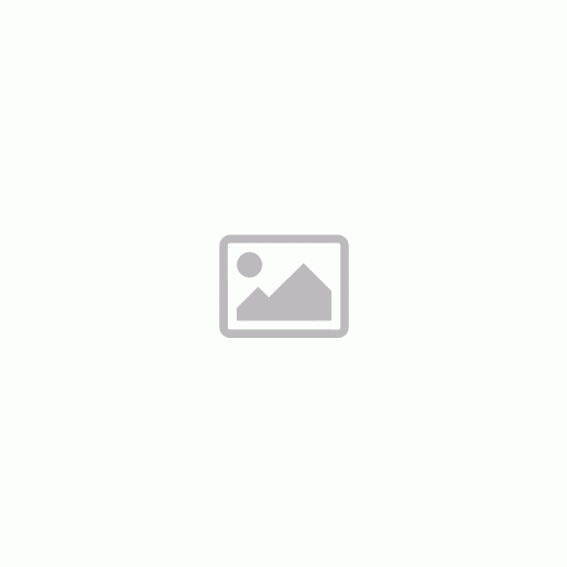 ARISTON függőleges indítóidom, alu/pp, 60/100 mm